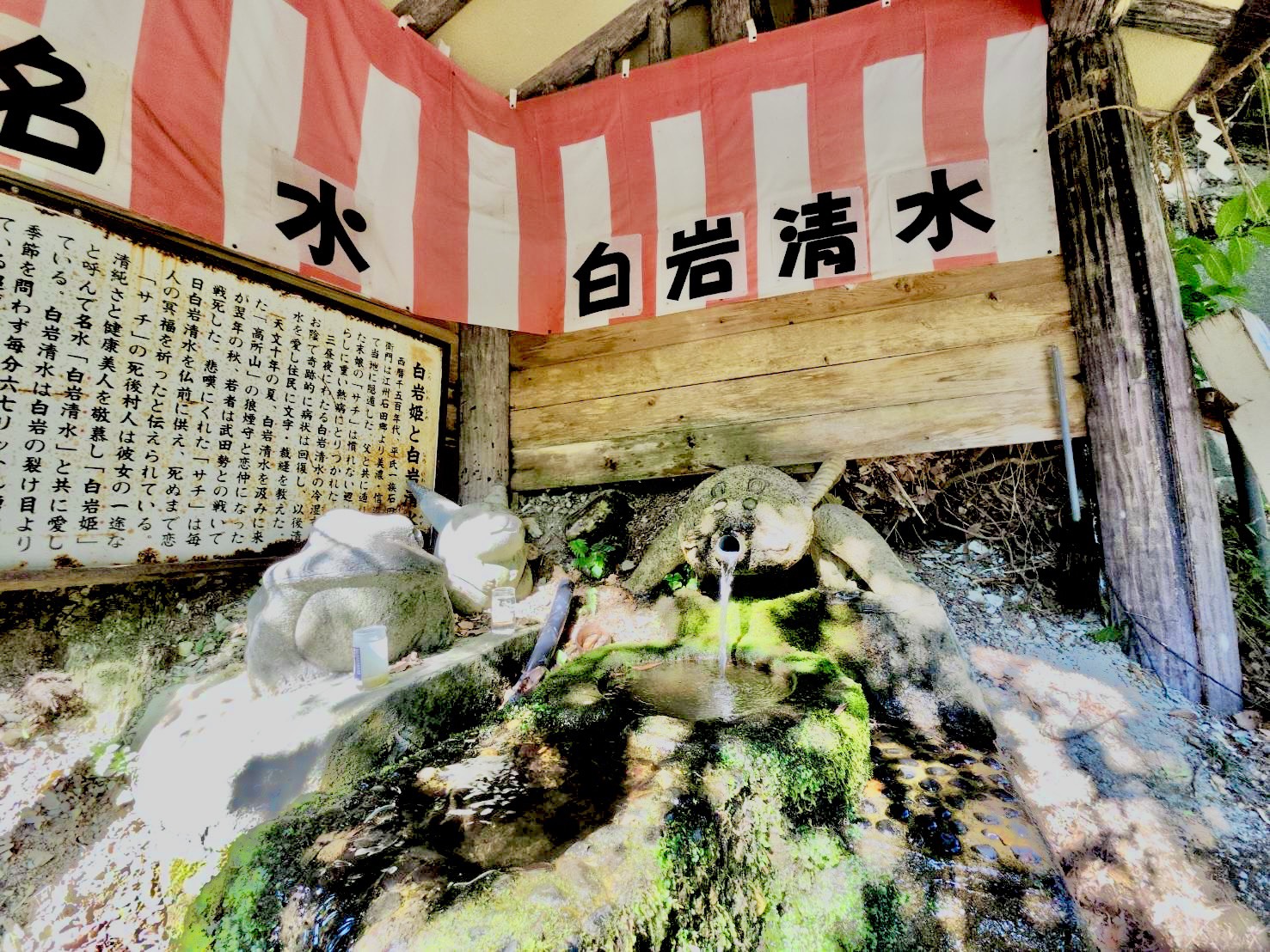 白岩清水の湧き水と水場