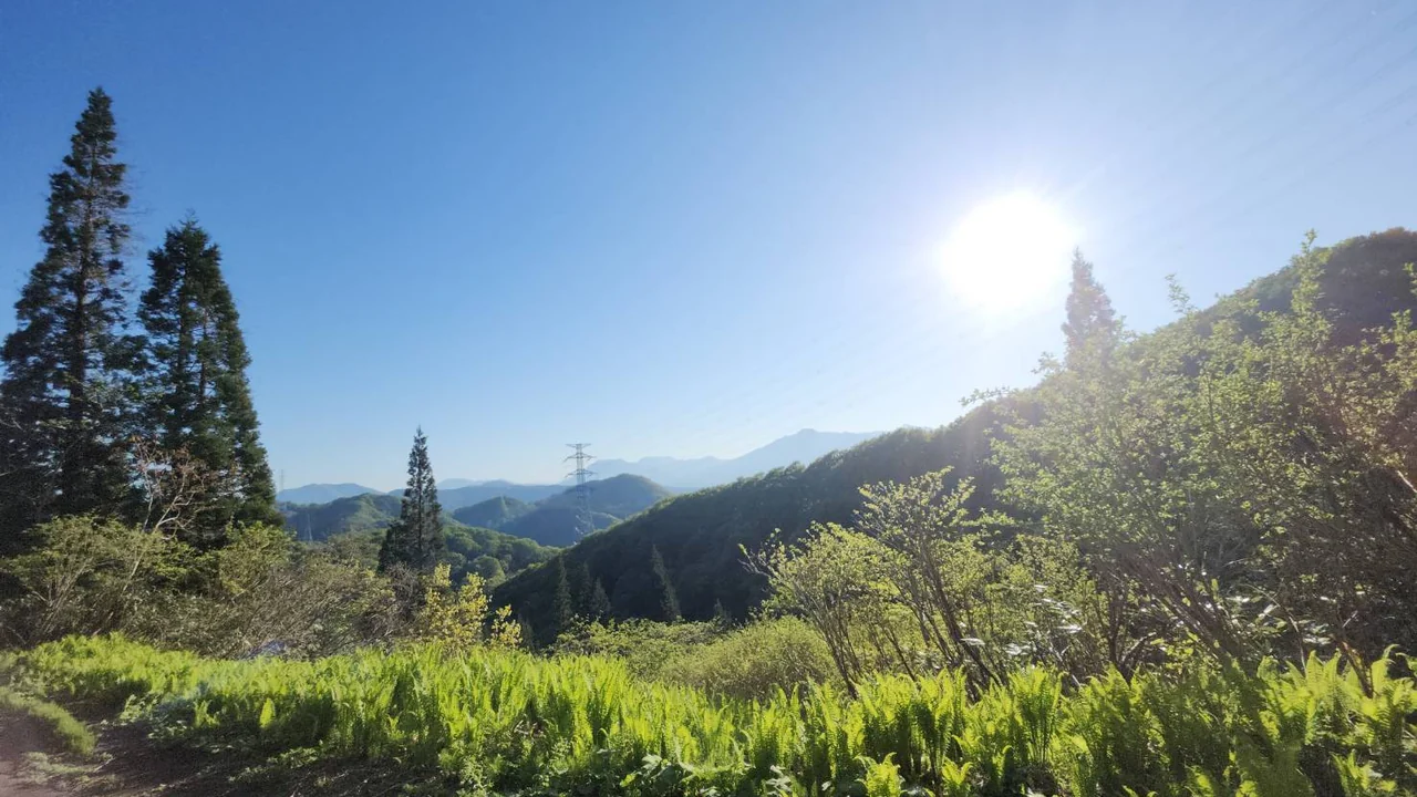山並みと新緑が広がる平丸の風景